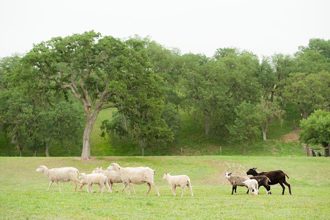 מלון פאסו רובלס Reves De Moutons מראה חיצוני תמונה