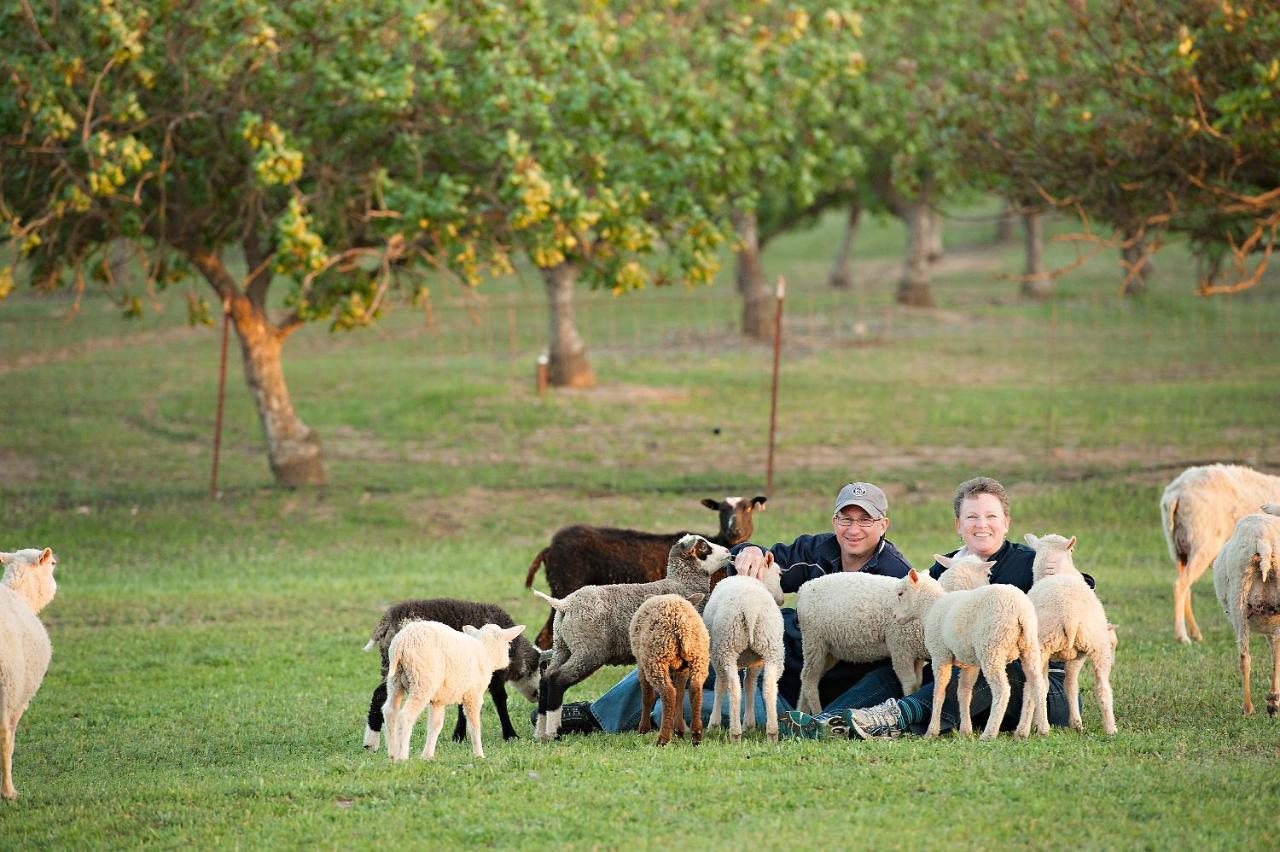מלון פאסו רובלס Reves De Moutons מראה חיצוני תמונה
