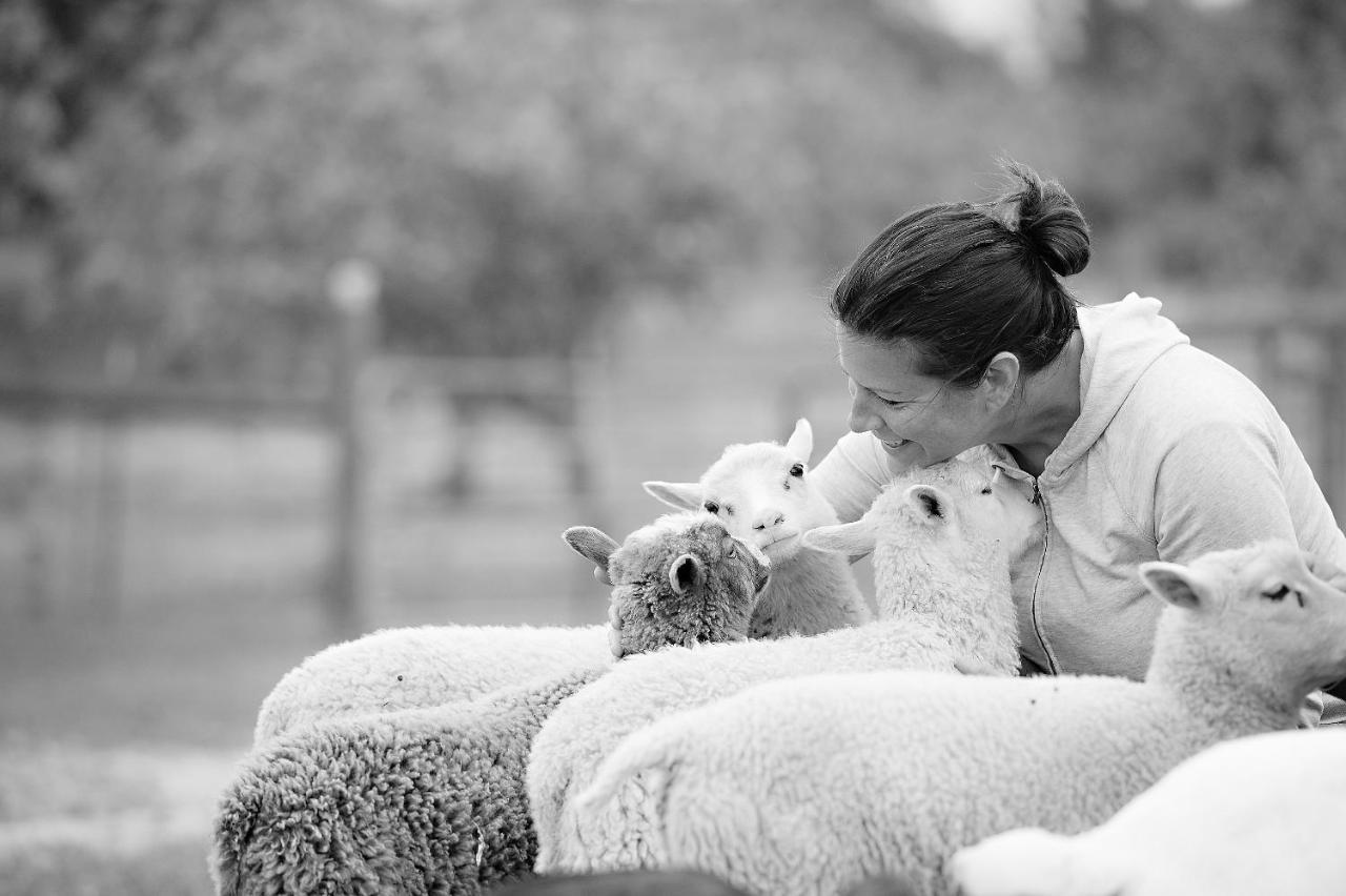 מלון פאסו רובלס Reves De Moutons מראה חיצוני תמונה