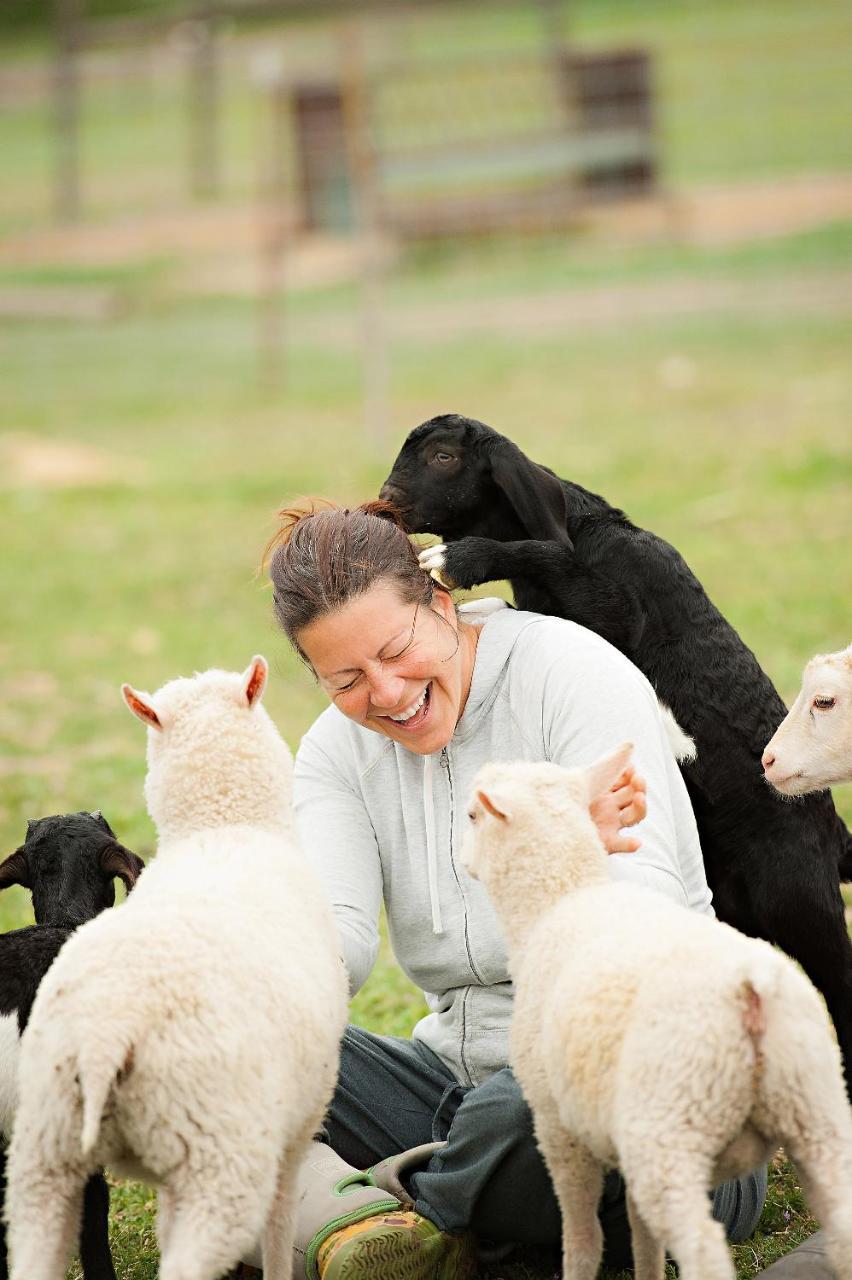 מלון פאסו רובלס Reves De Moutons מראה חיצוני תמונה